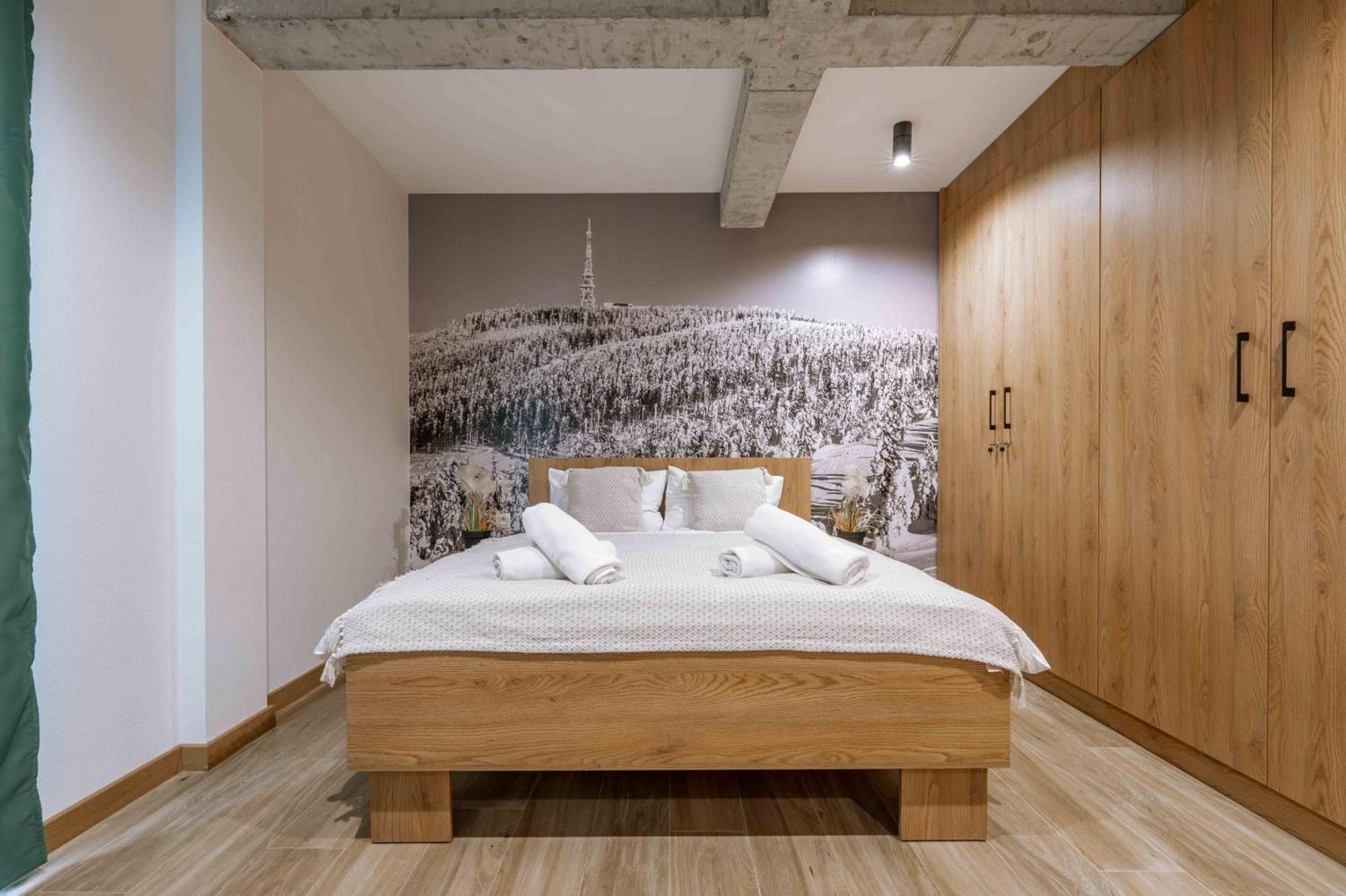 Apartment Dolina Czyrna - Doskonala Lokalizacja Dla Narciarzy - Dream Szczyrk